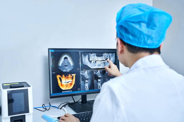 Best Emergency X-Rays and Diagnostics in Laurence Harbor, NJ